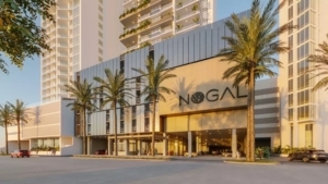 Nogal