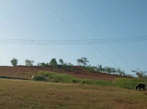 Pacora town