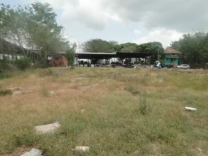 Awesome 4.65 Land for Sale in the Rio Chico Area 🏞️ Awesome 4.65 Land