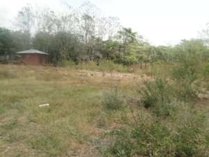 Awesome 4.65 Land for Sale in the Rio Chico Area 🏞️ Awesome 4.65 Land