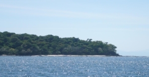 5 ha Awesome Island