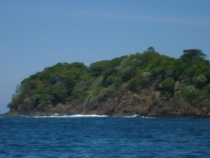 5 ha Awesome Island
