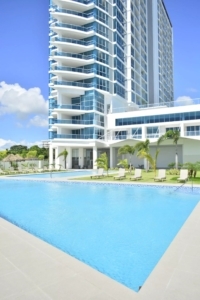 Royal Palm 
