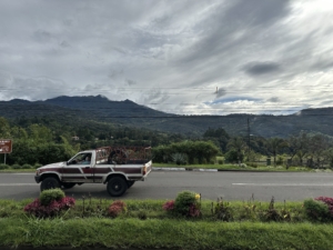 Boquete Panamas